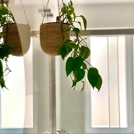 Apartamento Housingleón San Juan Luxury León